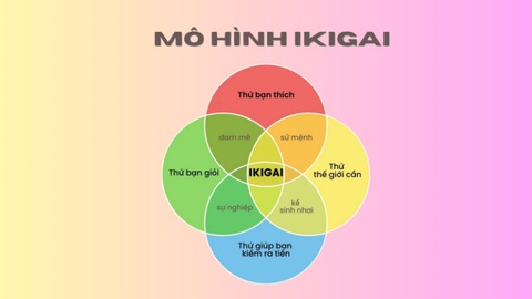 Li kì là gì? Gallery 1