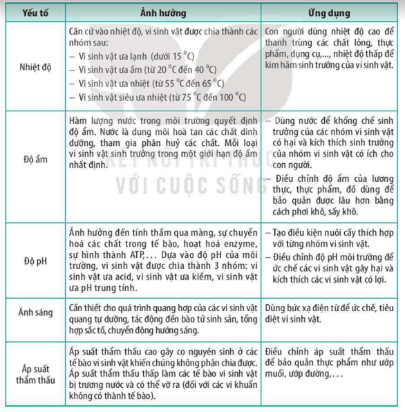 Những Thứ Có Thể Phá Vỡ Gallery 1