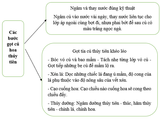 2 Cách Gọt Củ Hoa Thủy Tiên Gallery 2