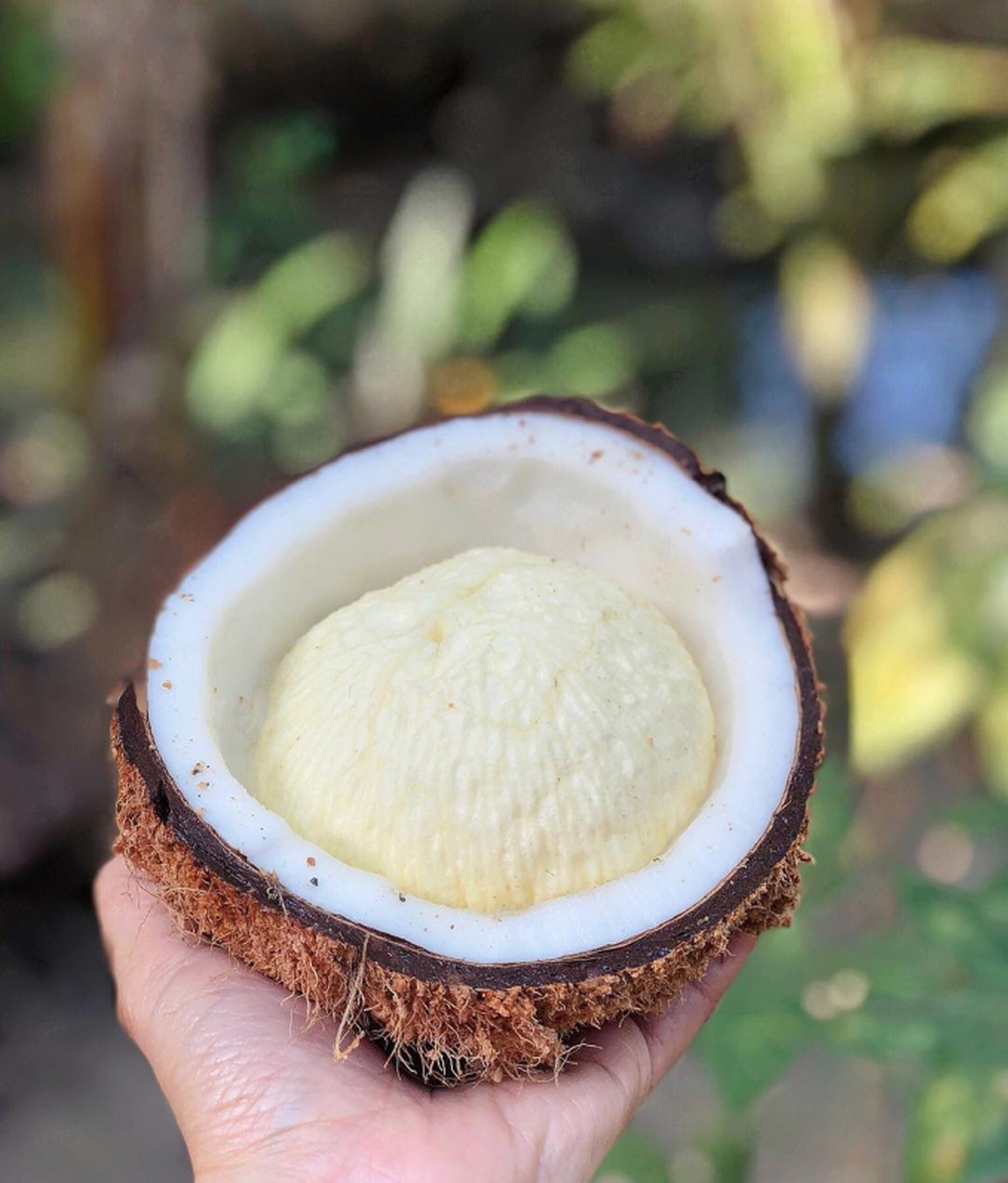 Cách Ăn Mộng Dừa Ngon Tuyệt Vời