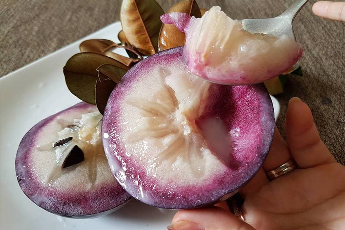 Cách Ăn Quả Vú Sữa Ngon Và Đơn Giản Nhất
