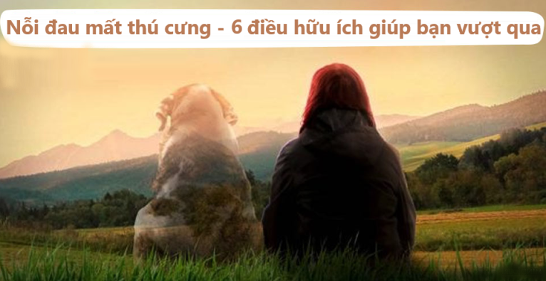Cách An ủi Người Mất Thú Cưng Gallery 2