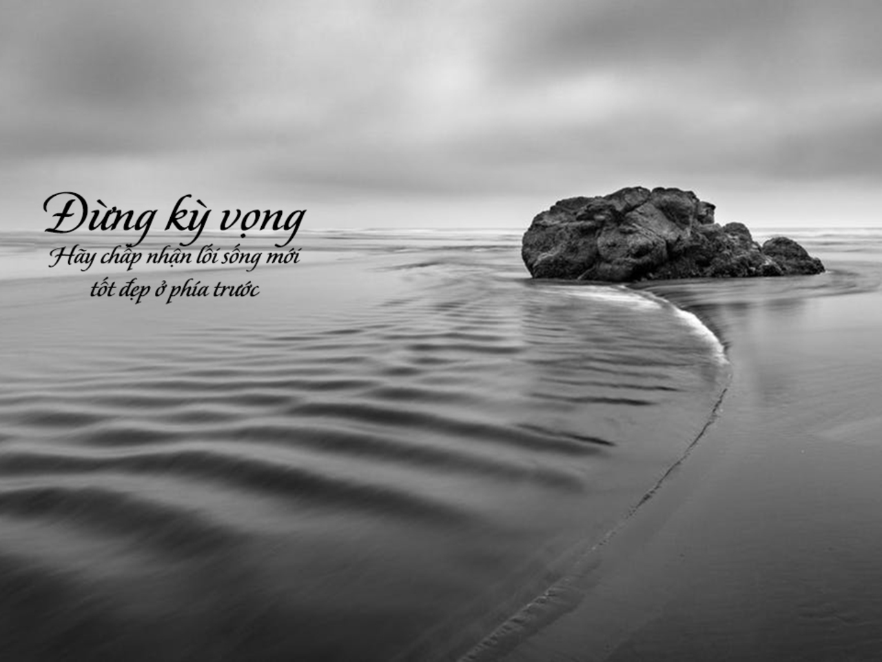 Đừng Hy Vọng Quá Nhiều Gallery 2
