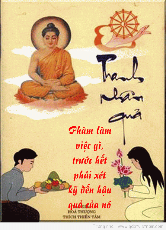 Phàm Làm Việc Gì Cũng Phải Nghĩ Đến Hậu Quả Gallery 2