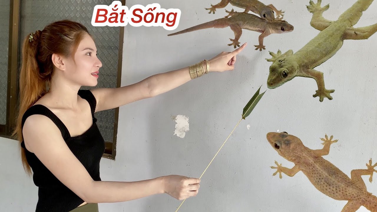 Cách Bắt Thằn Lằn