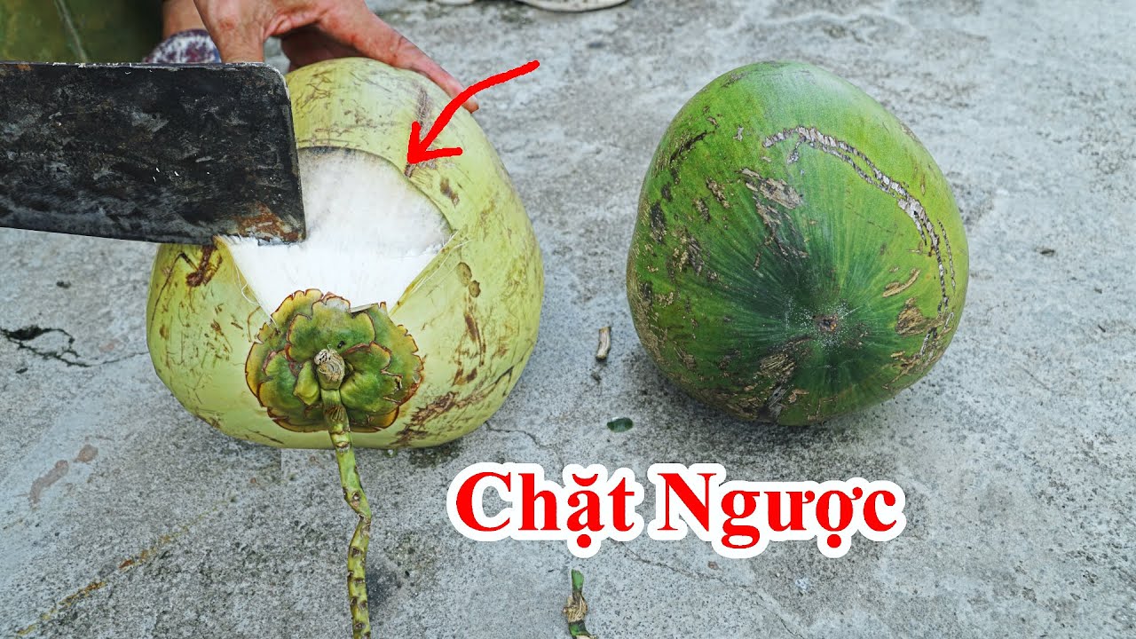 Cách Bổ Dừa Xiêm