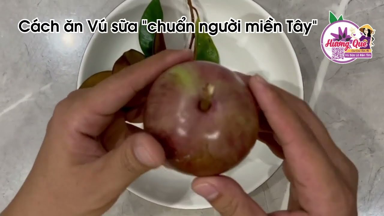 Cách Ăn Quả Vú Sữa Gallery 2