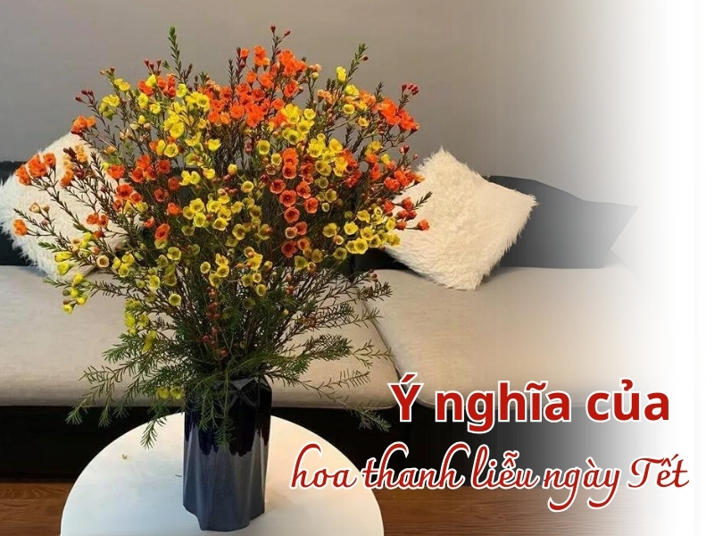 Cách Cắm Bông Thanh Liễu Đẹp Mắt