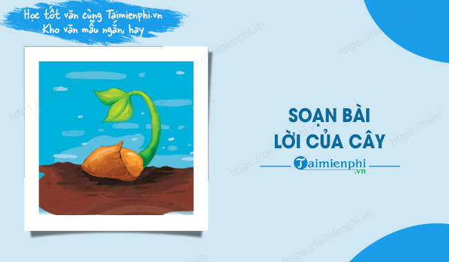 Lời của cây Trần Hữu Thung Gallery 2
