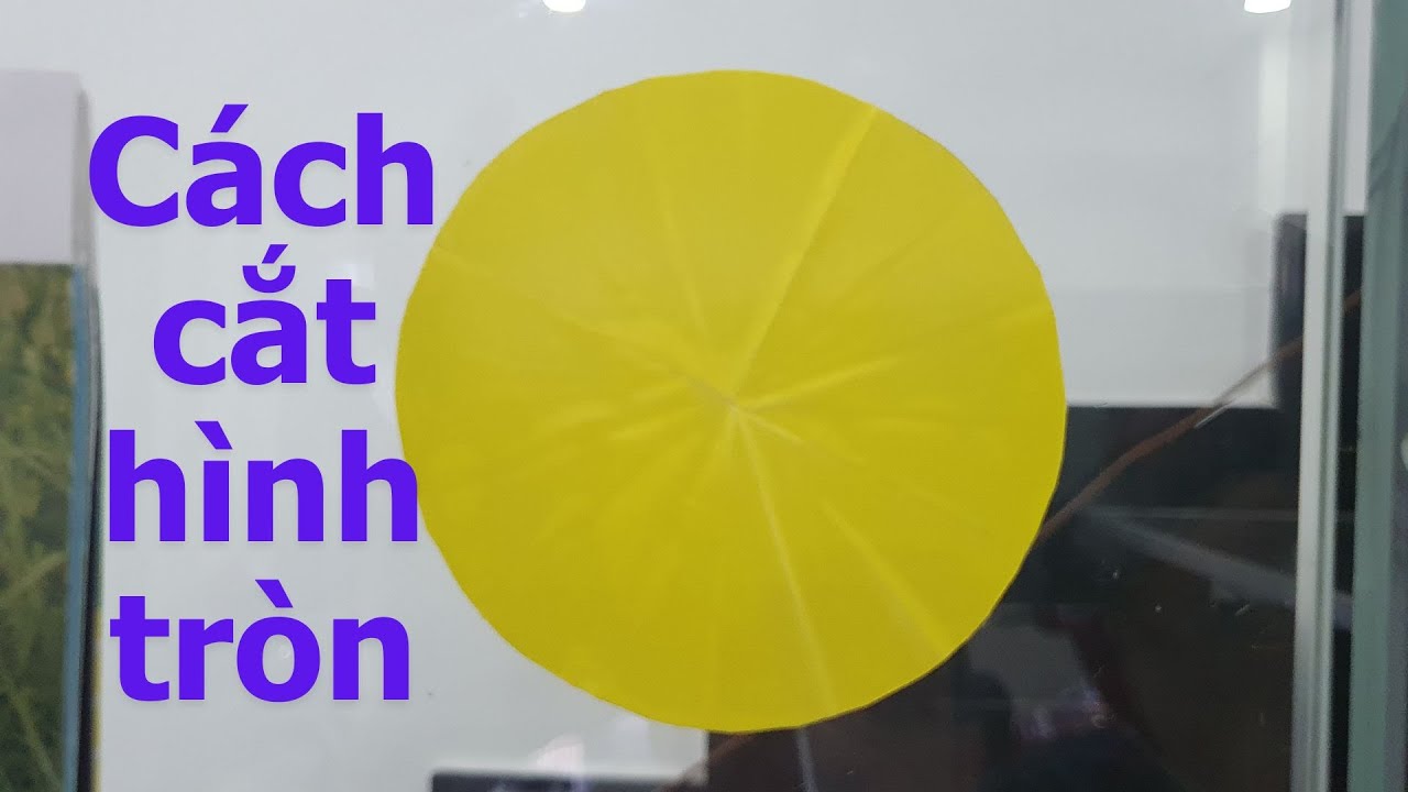 Cách Cắt Hình Tròn Hoàn Hảo