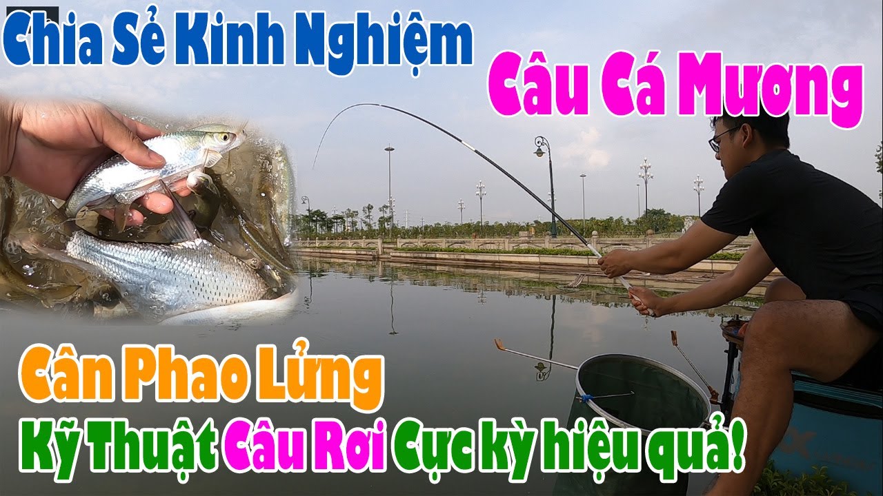 Cách Câu Cá Mương Hiệu Quả