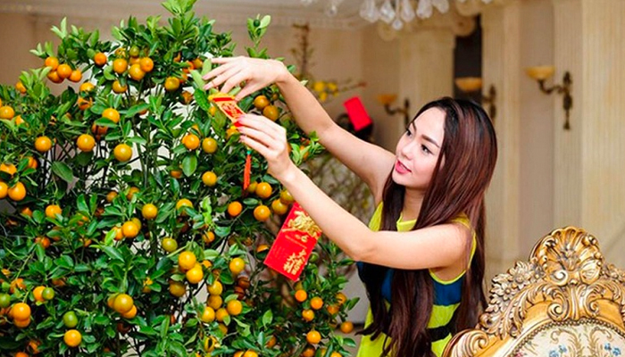 Cách Chăm Cây Quất Ra Quả Đúng Dịp Tết