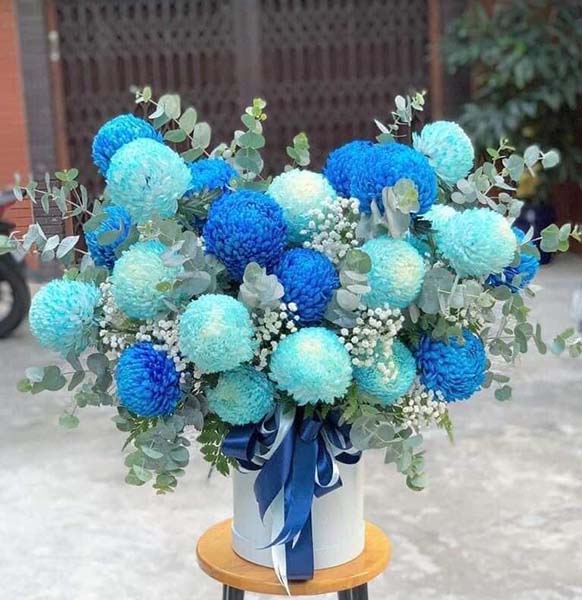 Cúc Mẫu Đơn Xanh Dương Gallery 2