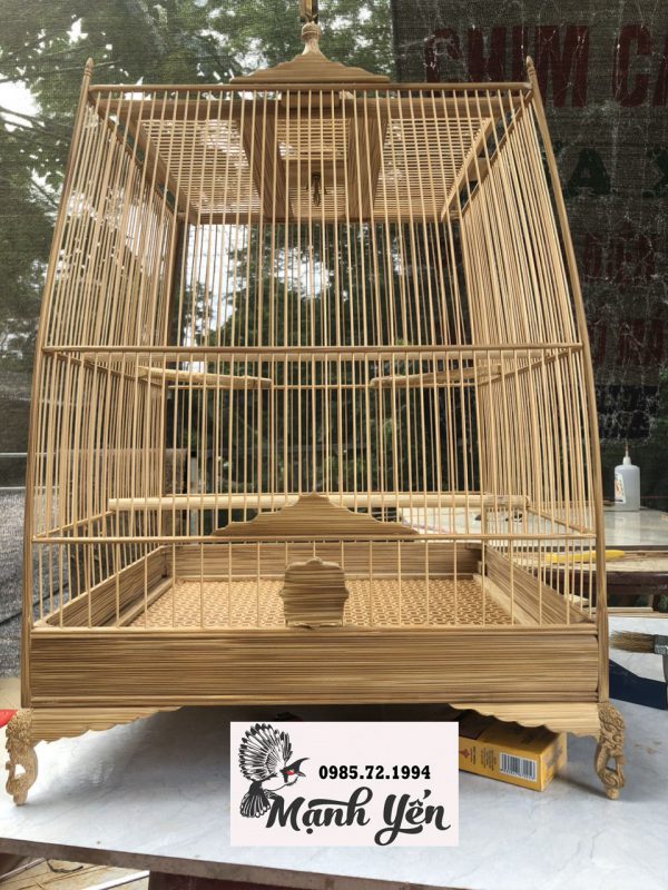Lòng Chào Mào Thái Gallery 1