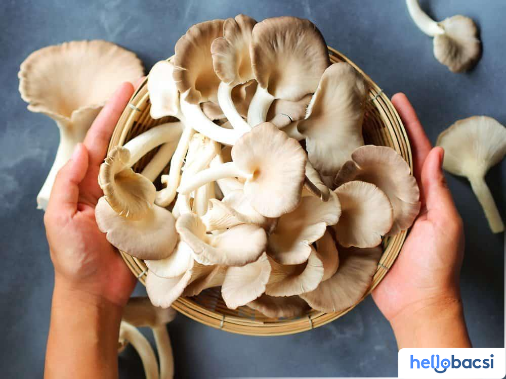Cách Chế Biến Nấm Bào Ngư