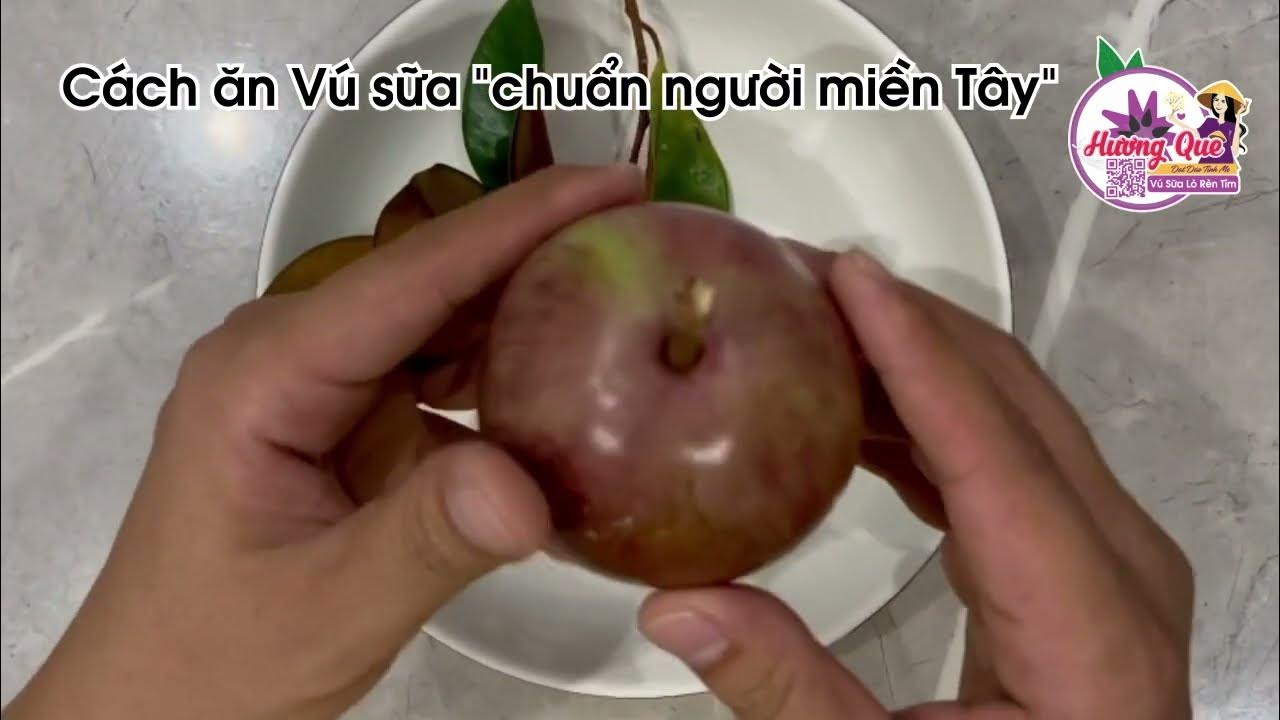 Cách Ăn Quả Vú Sữa Ngon Và Đơn Giản Nhất Gallery 2