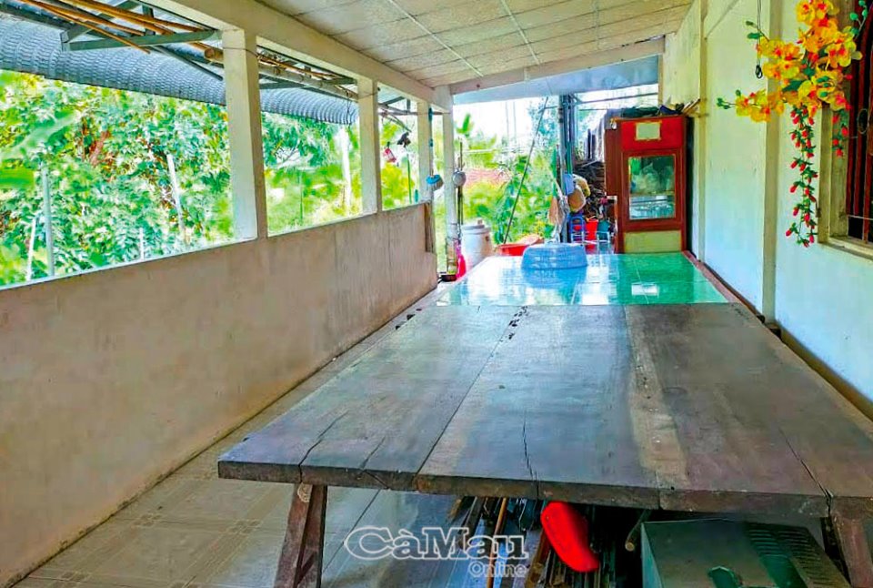 Bộ Ván Ngựa Xưa: Giá Trị Văn Hóa và Cách Chơi Gallery 1