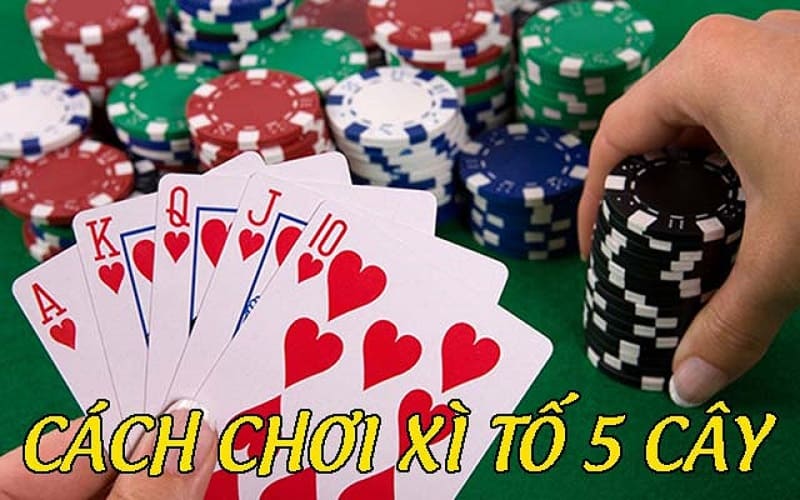 Cách Chơi Xì Tố 5 Cây Chi Tiết, Dễ Hiểu Nhất