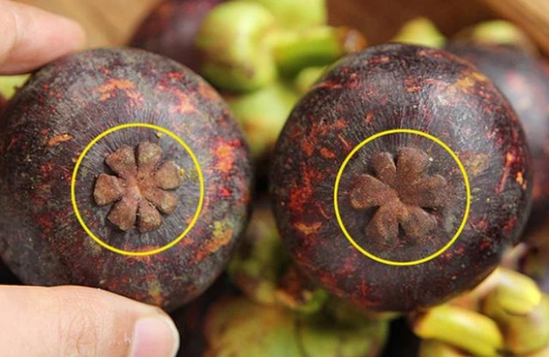 Cách Chọn Măng Cụt Ngon