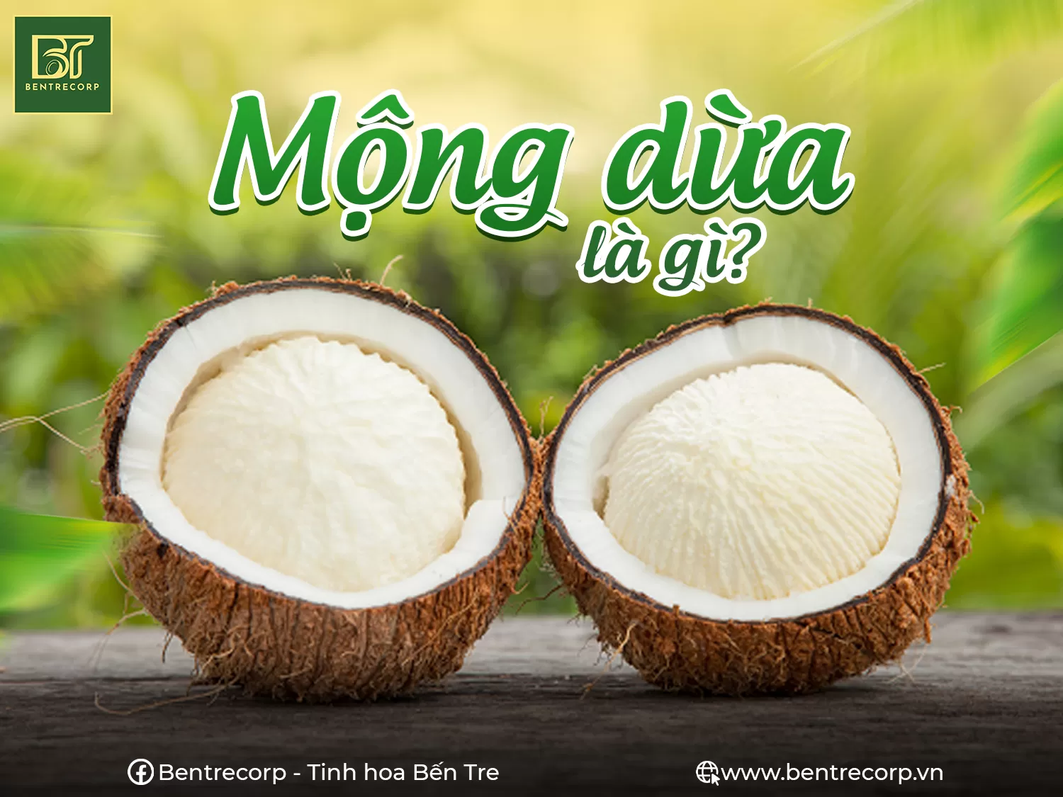 Cách Ăn Mộng Dừa Ngon Tuyệt Vời Gallery 1