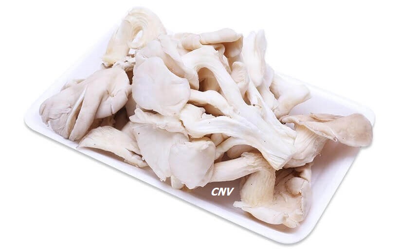 Cách Chế Biến Nấm Bào Ngư Gallery 1