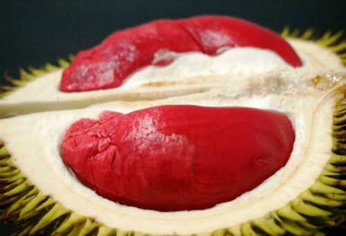 Sầu Riêng Ruột Tím: Hương Vị Độc Đáo, Quyến Rũ Gallery 2