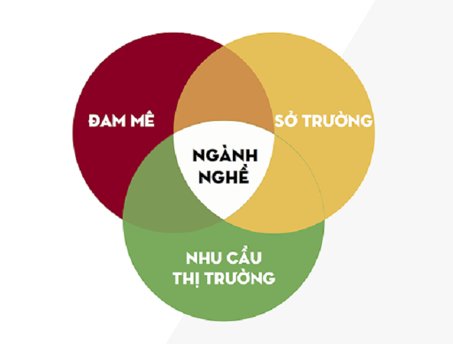 Cách Chọn Nghề Phù Hợp: Tìm Con Đường Sự Nghiệp Lý Tưởng