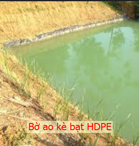 Cách Chống Sạt Lở Bờ Ao Hiệu Quả