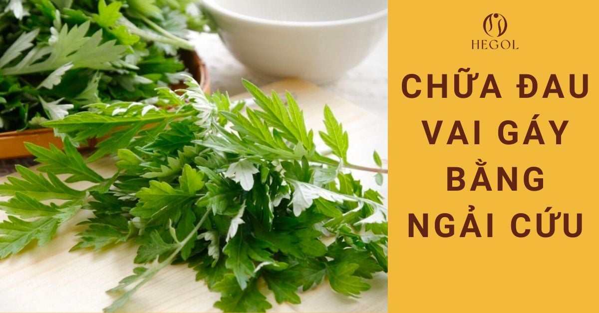 Chữa Đau Vai Gáy Bằng Ngải Cứu Gallery 1
