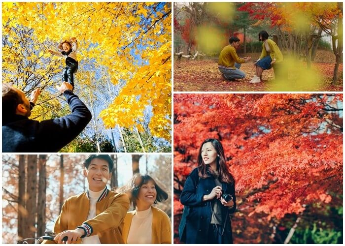 Bức Tranh Mùa Thu Vàng Gallery 2