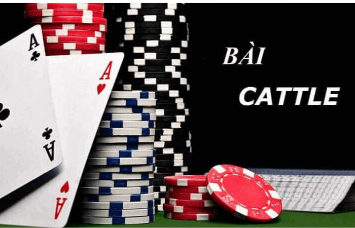 Cách đánh bài Cát Tê hiệu quả nhất