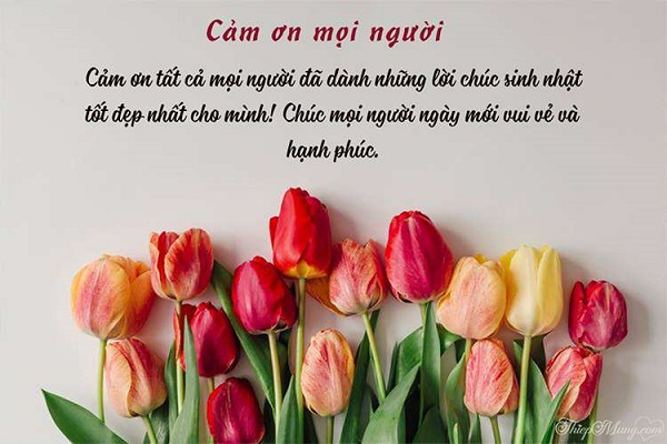 Cách Đáp Lại Lời Chúc Mừng Sinh Nhật Ngắn Gọn