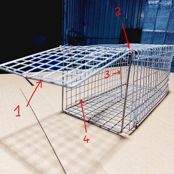 Cách Đặt Bẫy Chuột Hiệu Quả