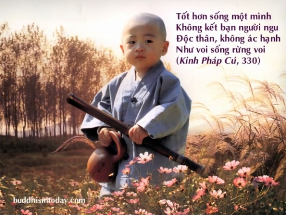 Bình An Là Gì? Gallery 2
