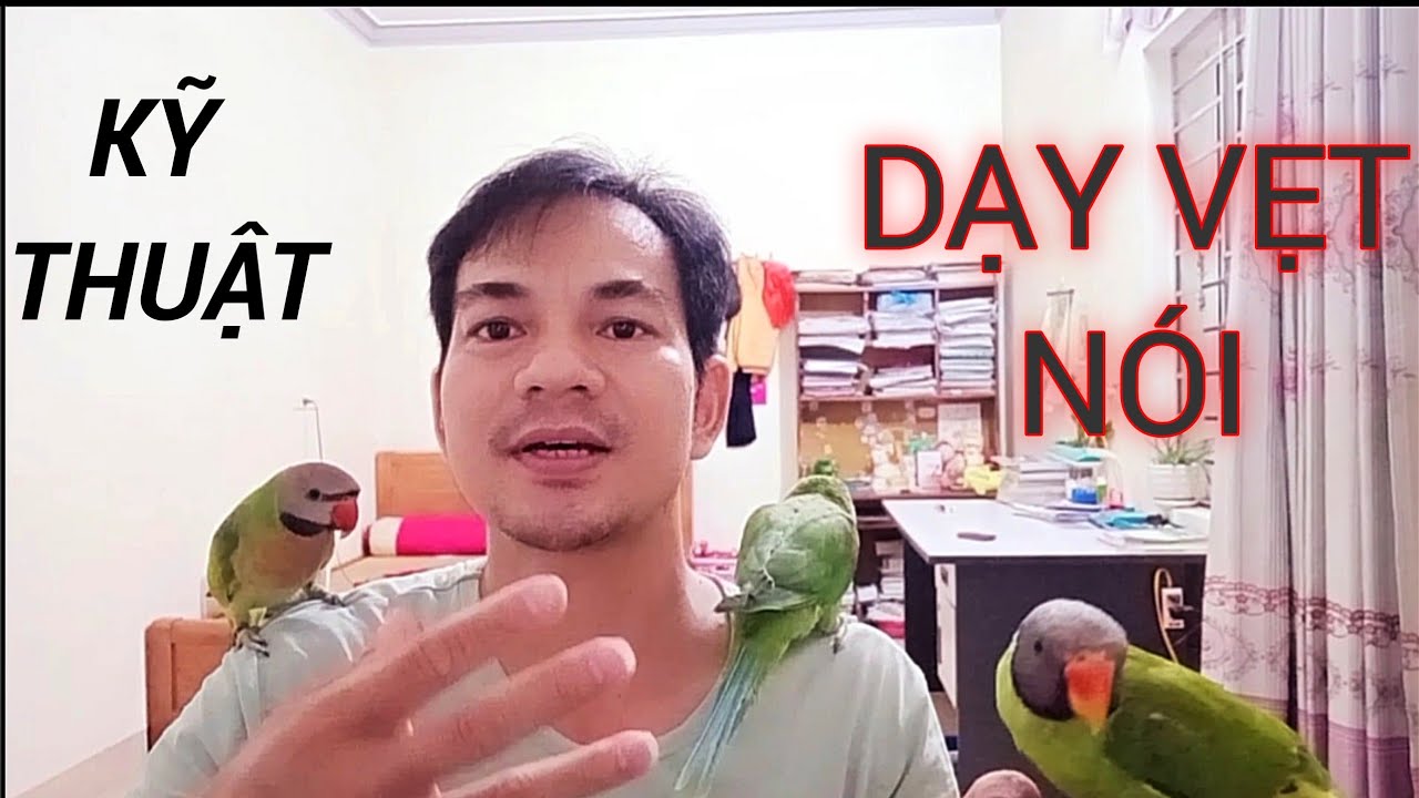 Cách Dạy Vẹt Nói Hiệu Quả Nhất