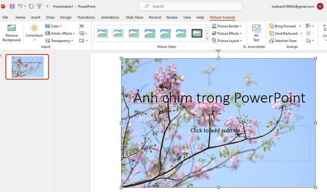 Cách để ảnh chìm trong PowerPoint