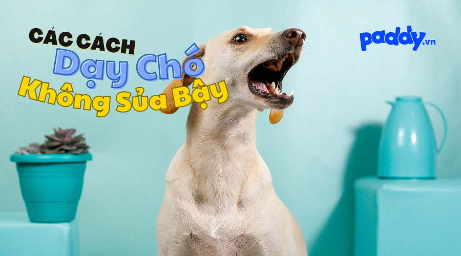 Cách để chó không sủa