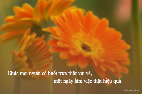 Buổi Trưa Vui Vẻ Gallery 1