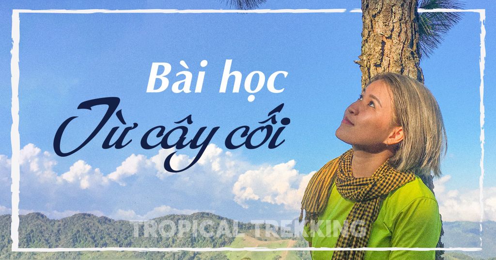 Tôi Muốn Làm Một Cái Cây Gallery 2