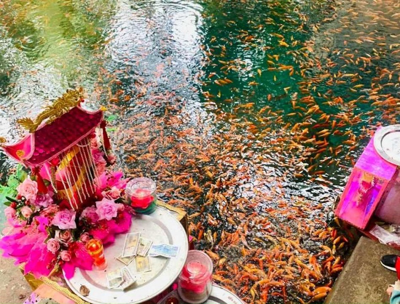 Kinh nghiệm đi Đền Cô Chín Gallery 1