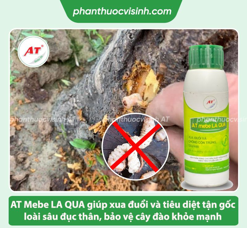 Cách Diệt Sâu Đục Thân Hiệu Quả