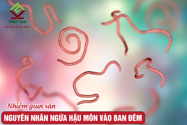 Ngứa Hậu Môn Ban Đêm: Nguyên Nhân Và Cách Điều Trị Gallery 2
