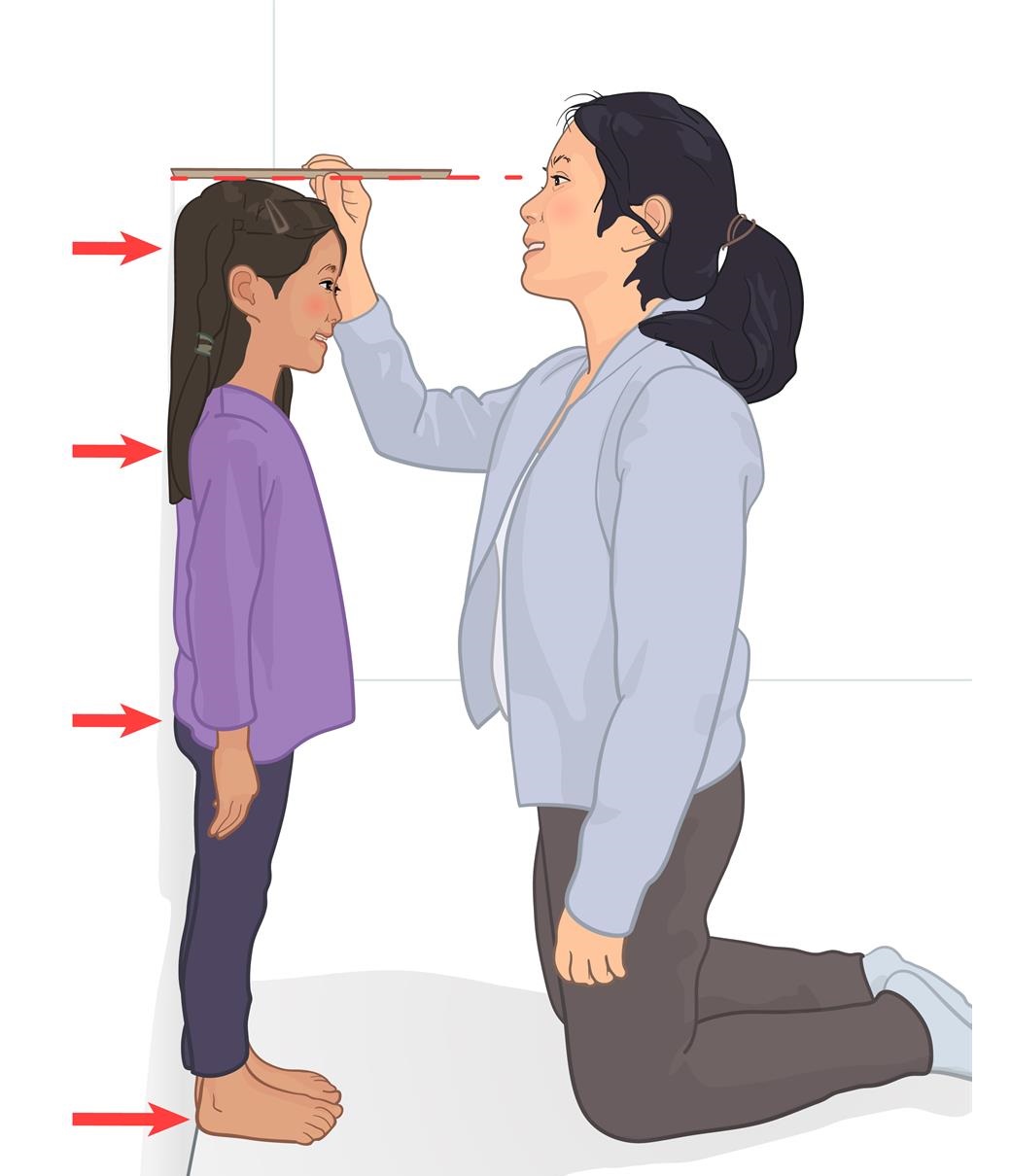 Thước Đo Chiều Cao: Hướng Dẫn Chọn Và Sử Dụng Gallery 2