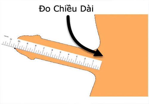 Cách Đo Đường Kính Dương Vật Gallery 2