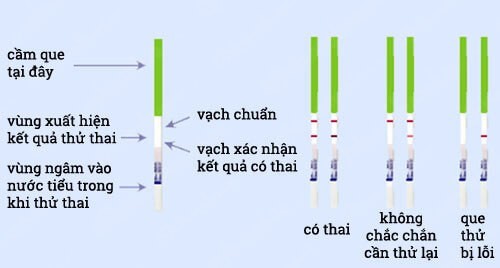Cách Đọc Que Thử Thai Chính Xác Gallery 2
