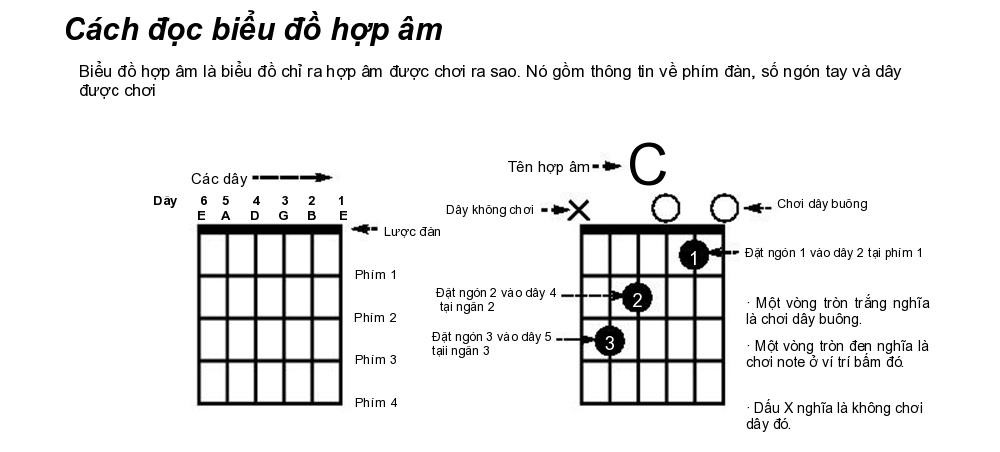 Kí hiệu hợp âm guitar cơ bản và cách sử dụng Gallery 2