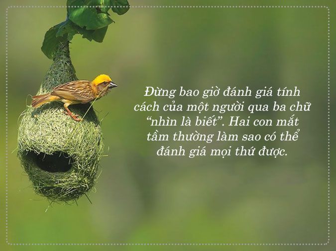 STT Bạn Bè Giả Tạo: Nhận Biết và Đối Phó Gallery 2