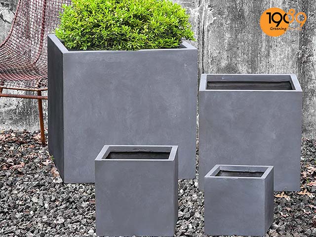 Cách Đúc Chậu Xi Măng: Hướng Dẫn Chi Tiết Từ A-Z