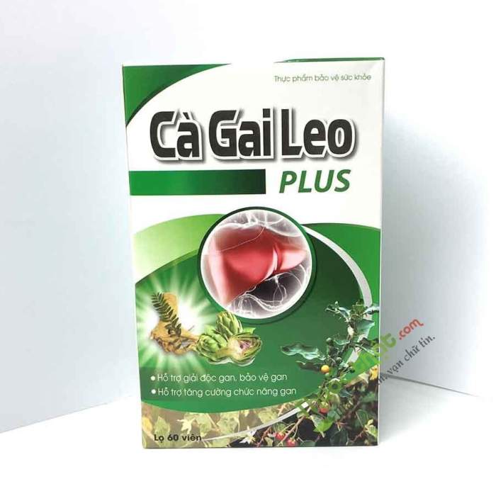 Cà Gai Leo Plus: Công dụng, cách dùng và những điều cần biết Gallery 2