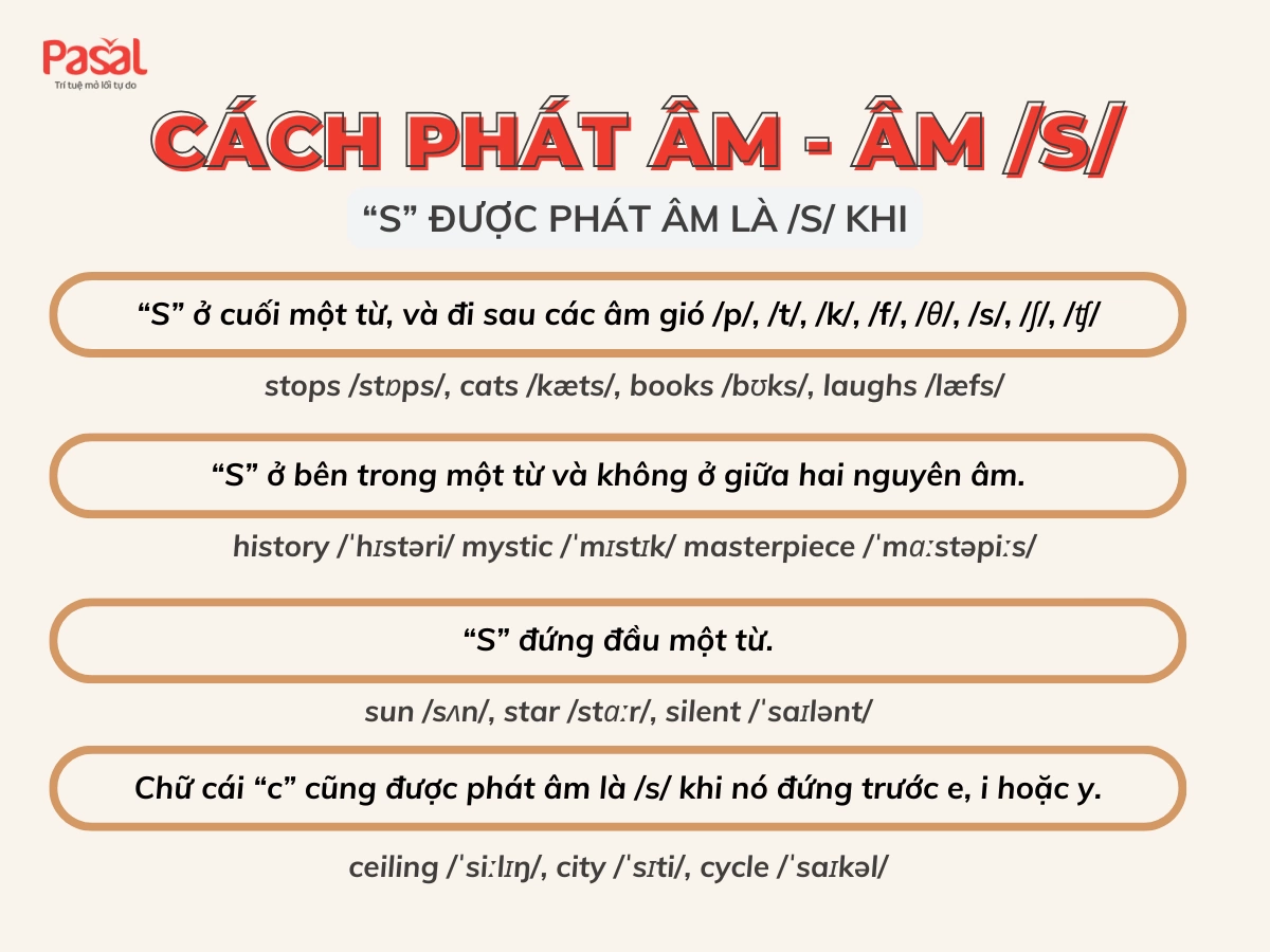 Khi nào dùng S? Gallery 1